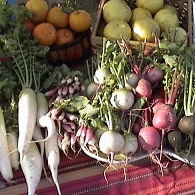 Farm photo at Varri Green Farm, Okeechobee, photo 2