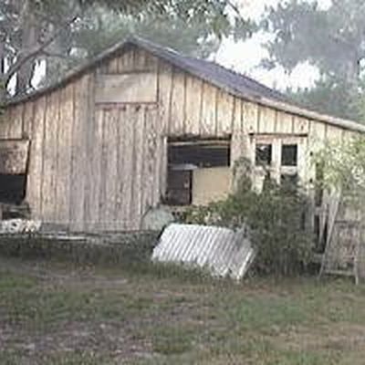 Farm photo at Varri Green Farm, Okeechobee, photo 5