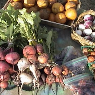 Farm photo at Varri Green Farm, Okeechobee, photo 7