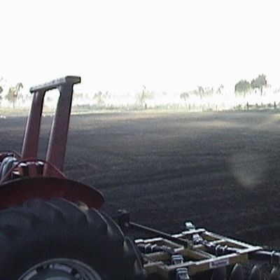 Farm photo at Varri Green Farm, Okeechobee, photo 20