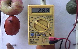 Multimeter reading 2.88 volts from the fruit and vegetable battery board