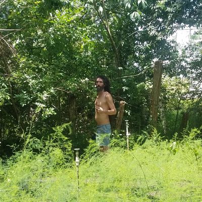 Volunteer at Varri Green Farm, Okeechobee, photo 4