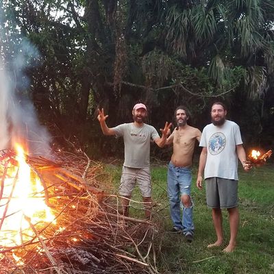 Volunteer at Varri Green Farm, Okeechobee, photo 27