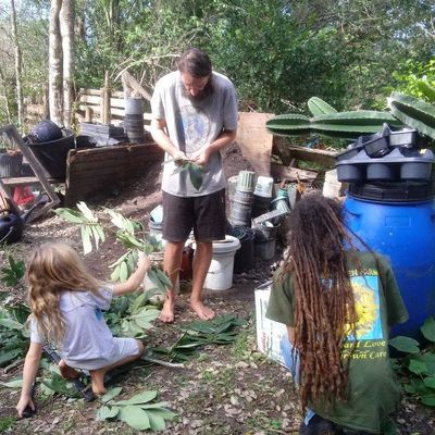 Volunteer at Varri Green Farm, Okeechobee, photo 33