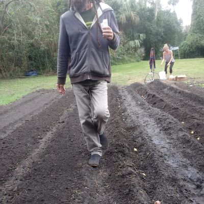 Volunteer at Varri Green Farm, Okeechobee, photo 34