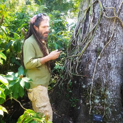 Volunteer at Varri Green Farm, Okeechobee, photo 75