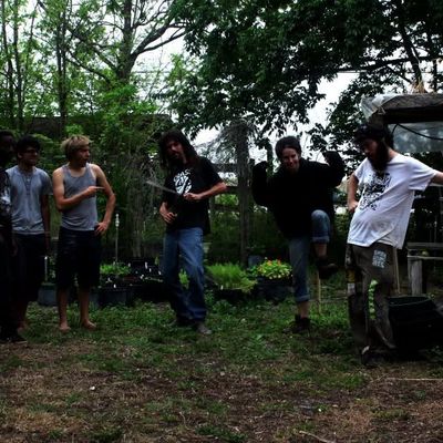 Volunteer at Varri Green Farm, Okeechobee, photo 102