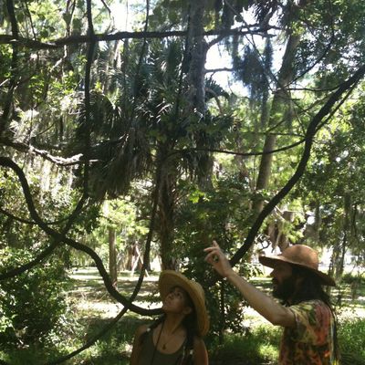 Volunteer at Varri Green Farm, Okeechobee, photo 107
