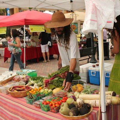 Volunteer at Varri Green Farm, Okeechobee, photo 121