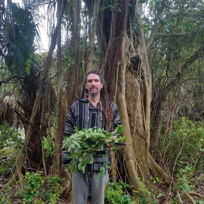Volunteer at Varri Green Farm, Okeechobee, photo 151