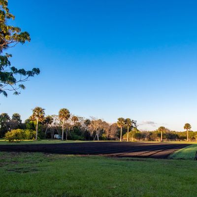 Volunteer at Varri Green Farm, Okeechobee, photo 152