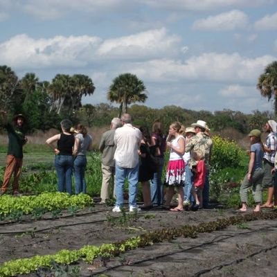Volunteer at Varri Green Farm, Okeechobee, photo 200