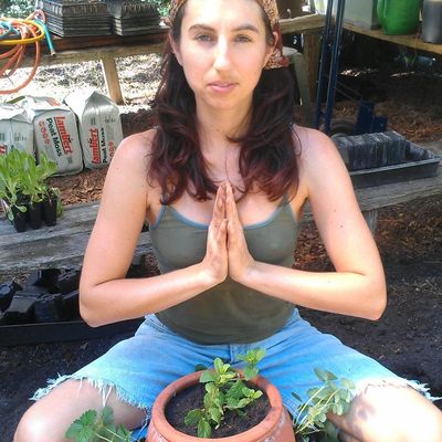 Volunteer at Varri Green Farm, Okeechobee, photo 233