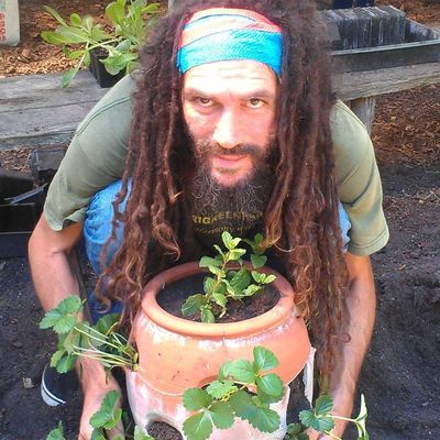 Volunteer at Varri Green Farm, Okeechobee, photo 238
