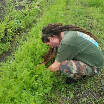 Volunteer at Varri Green Farm, Okeechobee, photo 361