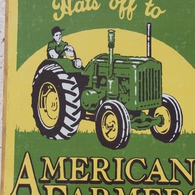 Volunteer at Varri Green Farm, Okeechobee, photo 362