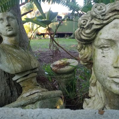 Volunteer at Varri Green Farm, Okeechobee, photo 366