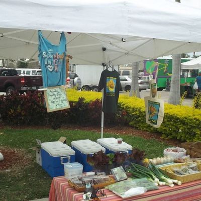 Volunteer at Varri Green Farm, Okeechobee, photo 370