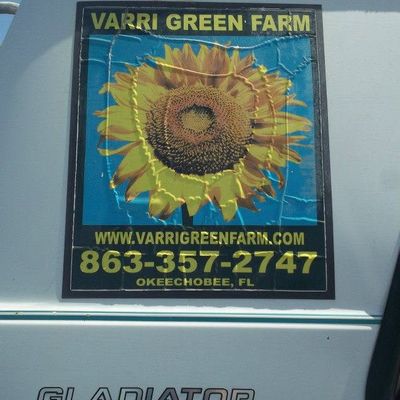 Volunteer at Varri Green Farm, Okeechobee, photo 375