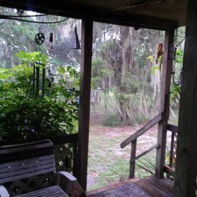 Volunteer at Varri Green Farm, Okeechobee, photo 410
