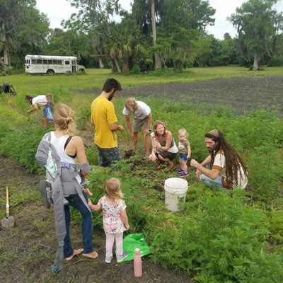 Volunteer at Varri Green Farm, Okeechobee, photo 435