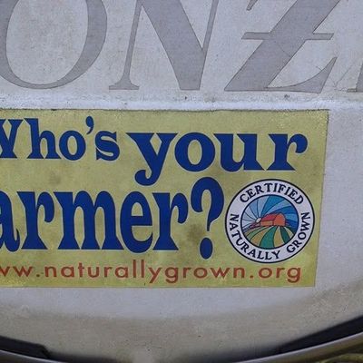 Volunteer at Varri Green Farm, Okeechobee, photo 458