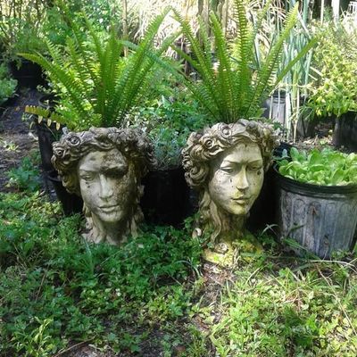 Volunteer at Varri Green Farm, Okeechobee, photo 461