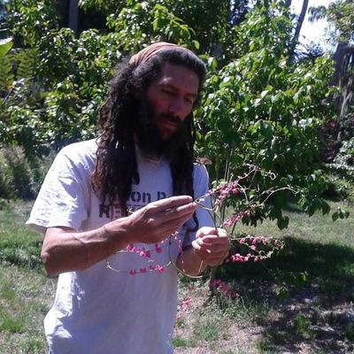 Volunteer at Varri Green Farm, Okeechobee, photo 463