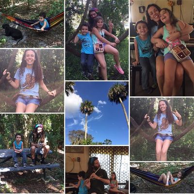 Volunteer at Varri Green Farm, Okeechobee, photo 473