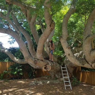 Volunteer at Varri Green Farm, Okeechobee, photo 483
