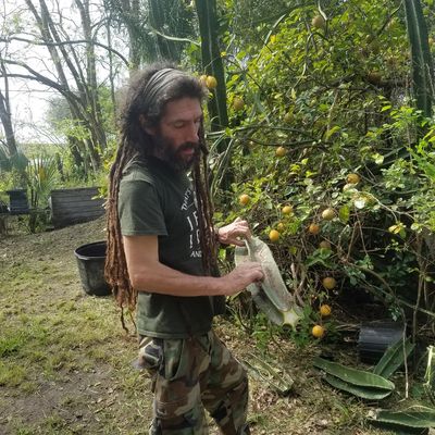 Volunteer at Varri Green Farm, Okeechobee, photo 513