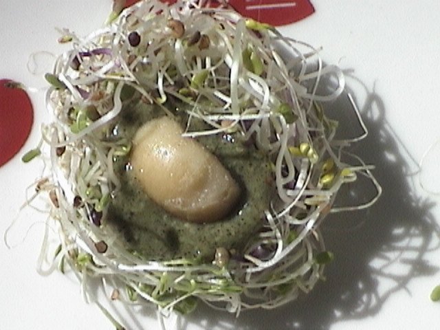 Stuffed Sprouts